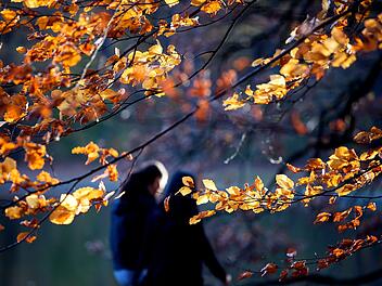 Wetter in Franken: So wird die kommende Woche