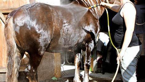 Das kühle Naß gefällt sogar Pferd Tristan, das seine Reiterin Corinne mit Liebe duscht. Gesehen in der Finkenmühle.  Foto: Günther Geiling