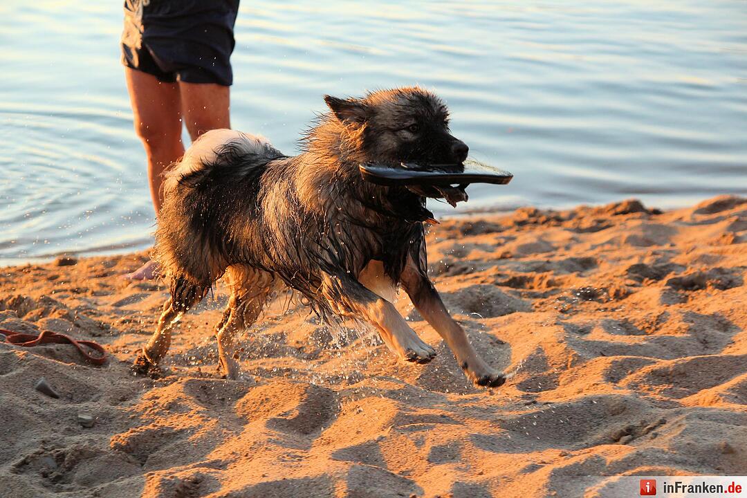 So genießt Franken den Sommer