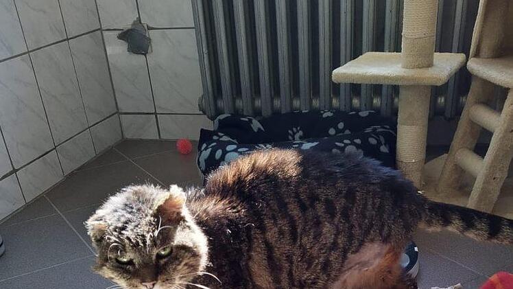 Fotos: Luci Schröder