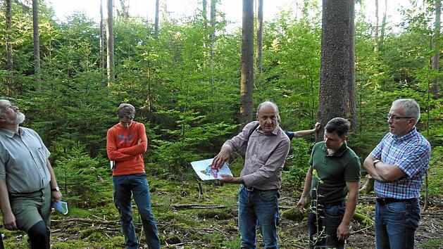 Anhand einer Karte erl&auml;utert F&ouml;rster Wolfgang Meiners (Mitte) Details der Bewirtschaftung f&uuml;r den Wald nahe dem Schattenbiotop. Links J&uuml;rgen Hahn vom Amt f&uuml;r Landwirtschaft und Forsten, rechts B&uuml;rgermeister G&uuml;nther Pfeiffer
