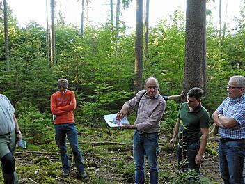 Anhand einer Karte erläutert Förster Wolfgang Meiners (Mitte) Details der Bewirtschaftung für den Wald nahe dem Schattenbiotop. Links Jürgen Hahn vom Amt für Landwirtschaft und Forsten, rechts Bürgermeister Günther Pfeiffer