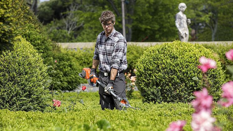 Hecke, Heckenschneiden, Gartenpflege