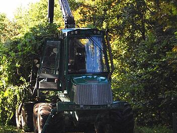 Mit solchen Maschinen lässt sich in den Rückegassen arbeiten. Doch kleine Schlepper haben hier in vielen Fällen keine Chance. Foto: Günther Straub