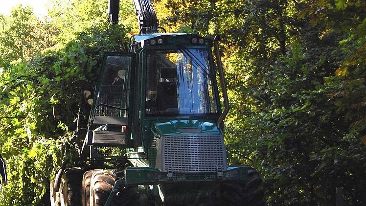 Mit solchen Maschinen lässt sich in den Rückegassen arbeiten. Doch kleine Schlepper haben hier in vielen Fällen keine Chance. Foto: Günther Straub