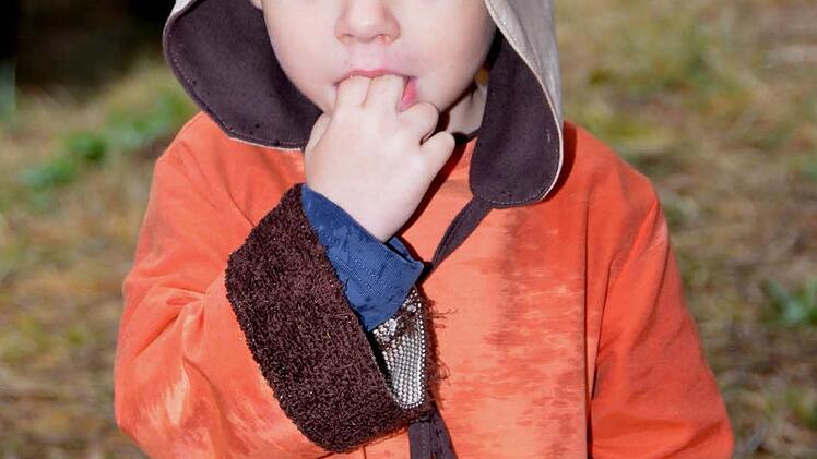 Botenlauben-Festspiele 2016  Foto: Peter Rauch