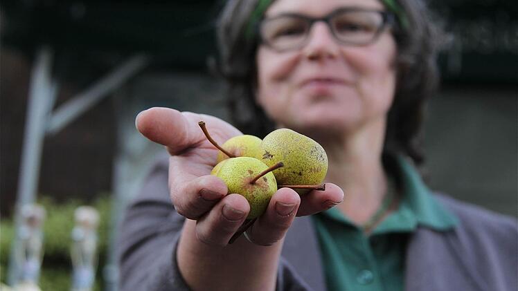 Ingrid Bold aus Neuwirtshaus mit den Süßbirnen aus der Streuobstwiese.