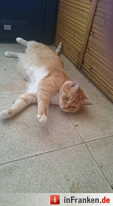 Foto: Christina Preller