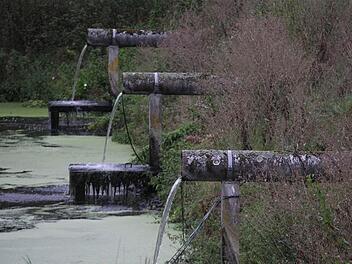 In die Gemeinschaftskläranlage fließen die Abwässer aus Ramsthal, Sulzthal und Wirmsthal. Foto: Gerd Schaar