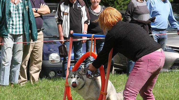Eine beachtliche Leistung präsentierte Kerstin Rödel mit dem Pflege-Husky Melli.