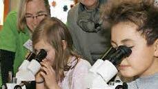 Marie und Arnis schauen sich Kletten an. Saskia Horn vom IIF, Schulleiterin Gisela Schott und Pia Rückert (von links) schauen ihnen über die Schulter.