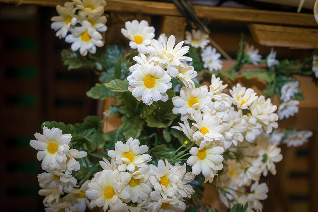 29.05.2015 Erlangen - Bergkirchweih Tag 9 Teil1