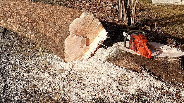 Landkreis Neustadt an der Aisch-Bad Windsheim: Unfall bei Baumf&auml;llarbeiten - Arbeiter schwer verletzt