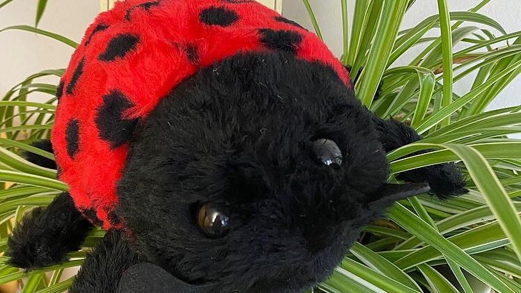 Coburg: Puppenmuseum bietet Bastelt&uuml;te an - Marienk&auml;fer selbst stopfen