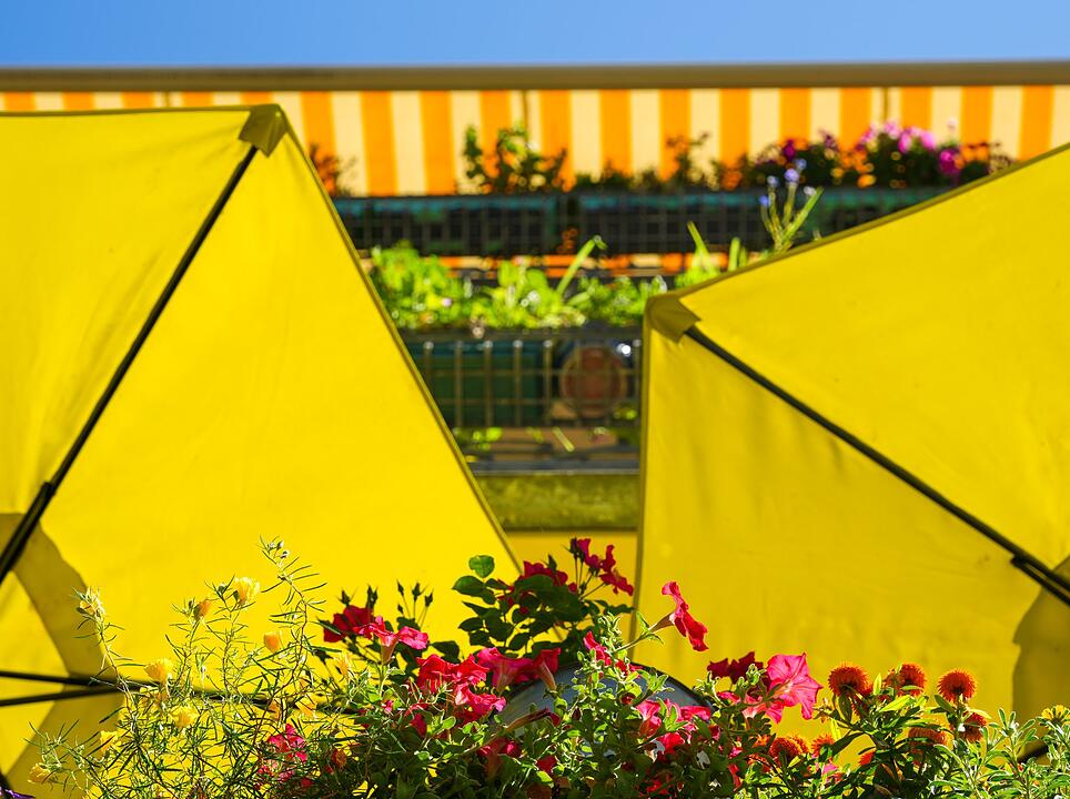 Wetter in Deutschland - Sonnenschirme in Berlin