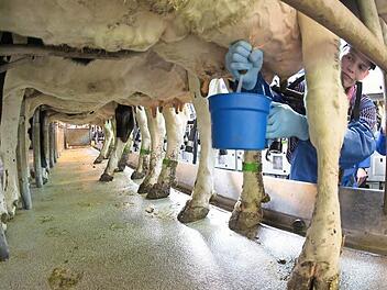 Kinder sollen wissen, dass Milch nicht aus dem Tetra-Pak kommt.  Foto: Axel Heimken/dpa