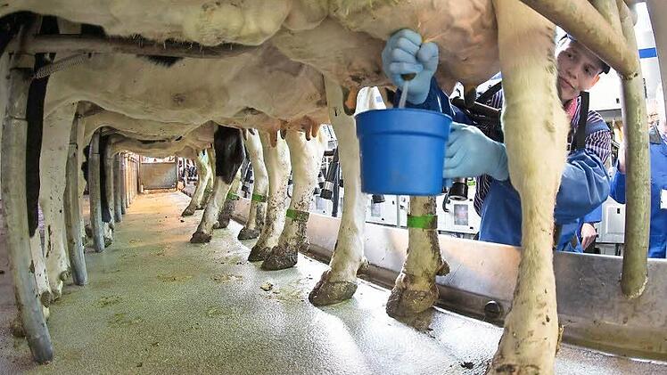 Kinder sollen wissen, dass Milch nicht aus dem Tetra-Pak kommt.  Foto: Axel Heimken/dpa