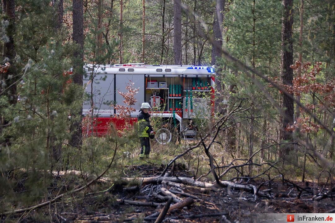 3000 Quadratmeter Waldboden standen in FlammenFeuerwehr hatte Lage schnell unter Kontrolle – Feuerwehr gibt Tipps für richtiges Verhalten im Wald aufgrund der Waldbrandgefahr