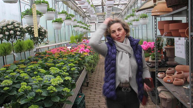 Die Kunden können auch direkt in Gewächshaus nach Gößweinstein kommen, um sich den Frühling nach Hause zu holen.