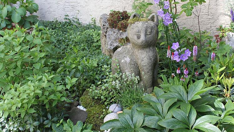 Foto: Veronika Schadeck