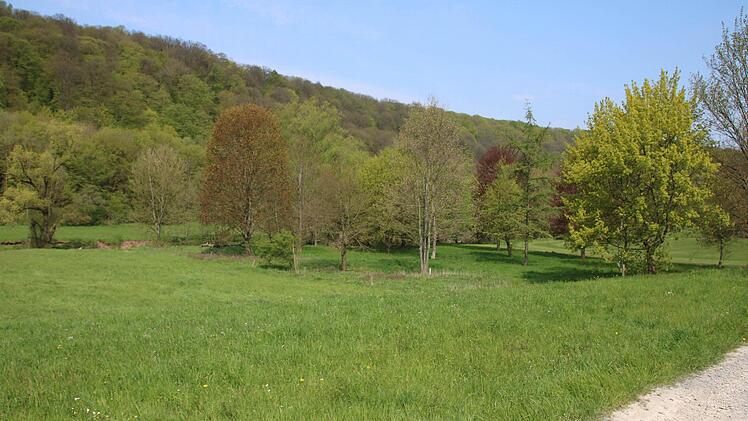 Hier unterhalb des Golfclubs ist eine bis zu 130 Meter lange Brücke vorgesehen. Foto: Ralf Ruppert