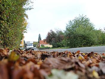 Dieser Missstand ist so manchem Eberner Stadtrat ein Dorn im Auge.   Foto: Ralf Kestel