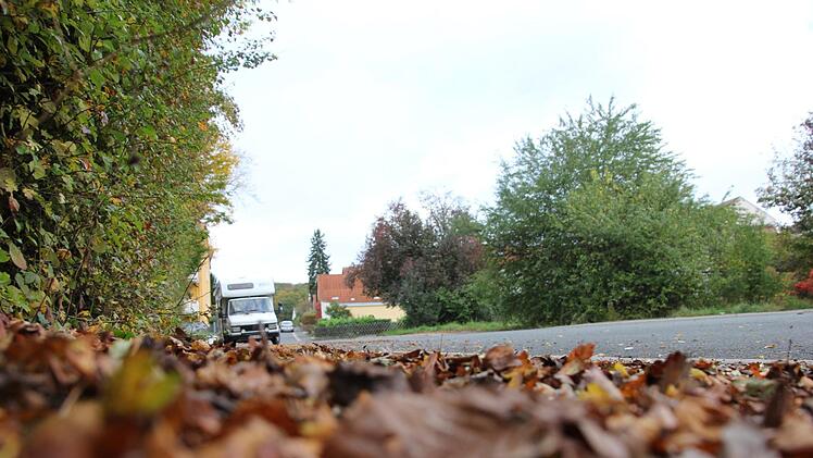 Dieser Missstand ist so manchem Eberner Stadtrat ein Dorn im Auge.   Foto: Ralf Kestel