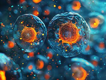 Borna-Virus, Virus, Infektion, Inkubationszeit