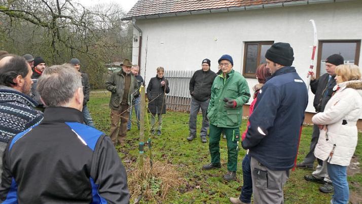 Edgar Brohm gab den Teilnehmern des Schnittkurses viele Tipps zur Obstbaumpflege.  Foto: OGV Ebern