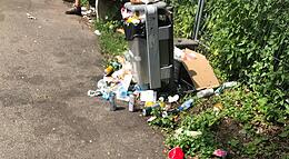 Vorschaubild