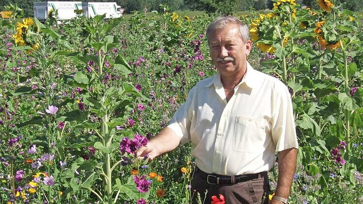Vor zehn Jahren (das Archivfoto von 2009 belegt es) hat Helmut Grell aus Treinfeld eine ökologische Blühfläche angesät und ist damit zu einem Vorreiter geworden. "Die Blütenvielfalt der ,Veitshöchheimer Bienenweide' war am schönsten", sagt der Landwirt nach reichlich Erfahrung mit diversen Mischungen.  Foto: Beate Dahinten