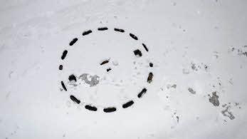 WInter in Baunach. Foto: Anna Püls