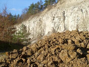 Im ehemaligen Knörlein-Steinbruch fühlen sich Gelbbauch-Unke, Uhu und Orchideen wohl. Doch ihr Lebensraum ist bedroht. Foto: privat