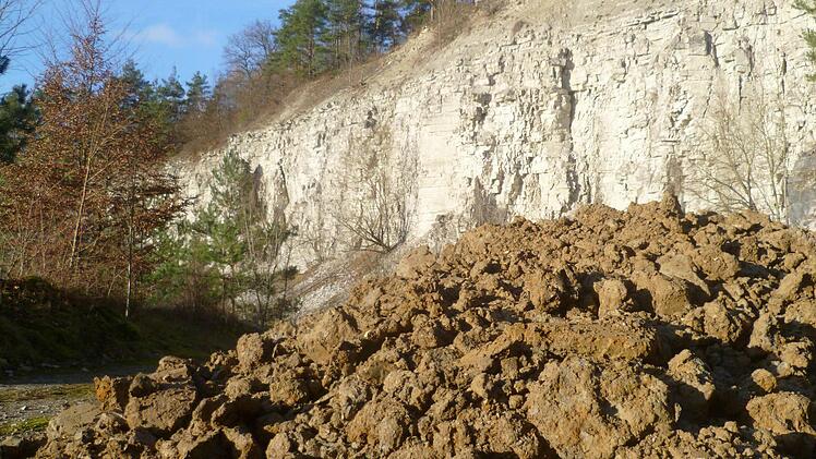 Im ehemaligen Knörlein-Steinbruch fühlen sich Gelbbauch-Unke, Uhu und Orchideen wohl. Doch ihr Lebensraum ist bedroht. Foto: privat