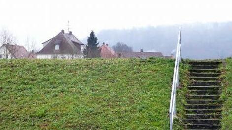 Hoch, aber nicht hoch genug: Nach den aktuellen Berechnungsgrundlagen würde der Deich (hier nahe der Michelauer Turnhalle) aber bei einem sogenannten hundertjährigen Hochwasser nicht ausreichen.