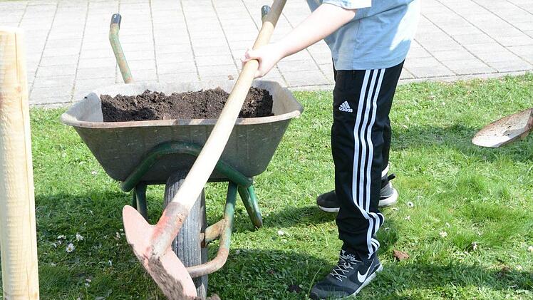 Impressionen vom Obstbaum-Pflanztag an der Grundschule Melkendorf  Foto: Dagmar Besand