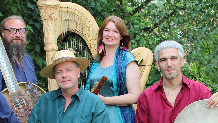 Harfe, Hybrid-Sitar, Percussion und die Singende säge bringen die Musiker nach Großwenkheim mit.  Foto: Hans-Jürgen Freund