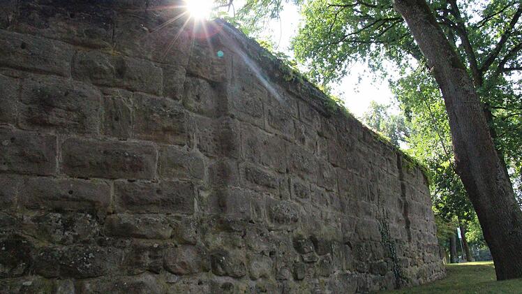 An der Stadtmauer im Höchstadter Engelgarten stand einst der "Zwickturm", das Foltergefängnis. Einziges noch heute sichtbares Überbleibsel sind zwei Kerben in der Mauer.  Foto: Christian Bauriedel