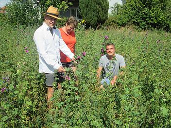 Die Bienenweide der Familie Hetz bewundert auch Bürgermeister Karlheinz Kickuth (links) mit Beate und Gerhard Hetz. Fotos: Winfried Ehling