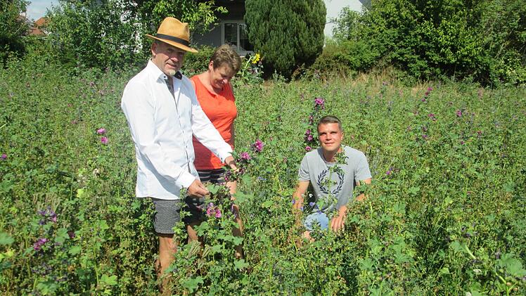 Die Bienenweide der Familie Hetz bewundert auch Bürgermeister Karlheinz Kickuth (links) mit Beate und Gerhard Hetz. Fotos: Winfried Ehling