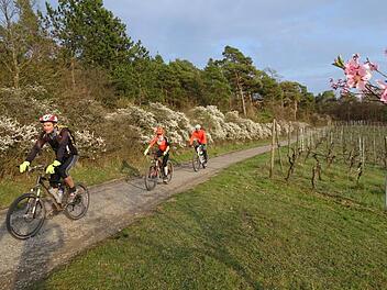 Auf Wald- und Flurwegen sind die Mountainbike-Gruppen Mittwochabend unterwegs.  Foto: Angelika Silberbach