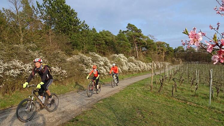 Auf Wald- und Flurwegen sind die Mountainbike-Gruppen Mittwochabend unterwegs.  Foto: Angelika Silberbach