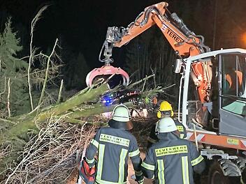 Einsatz der Feuerwehren im Wald an der Kreisstraße zwischen Rothenkirchen und Buchbach. 60 bis 70 umgestürzte Bäume wurden in der Sturmzeit im Marktgemeindebereich Pressig von den Feuerwehren entfernt.