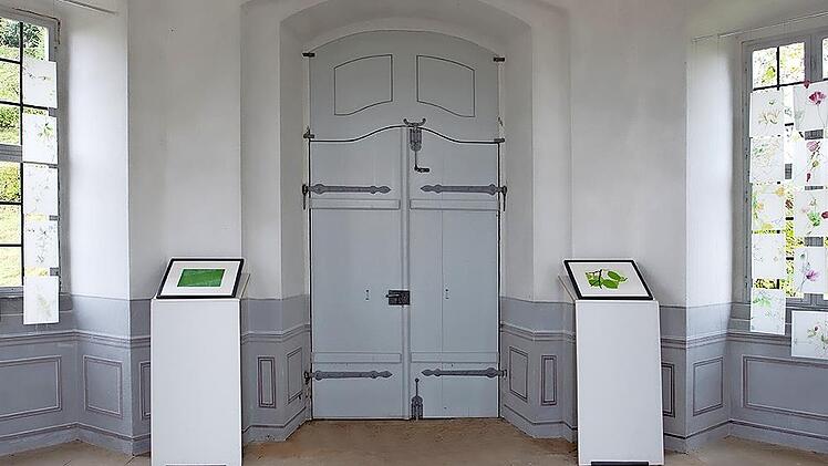 Die Kunstwerke von Walli Bauer und Michaela Schwarzmann treten bei der Ausstellung in Dialog.