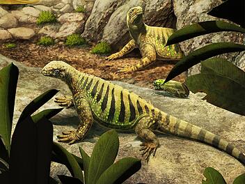 Neue Studie: Schildkröten sind nächste Verwandte der Archosaurier Neue Studie: Schildkröten sind nächste Verwandte der Archosaurier