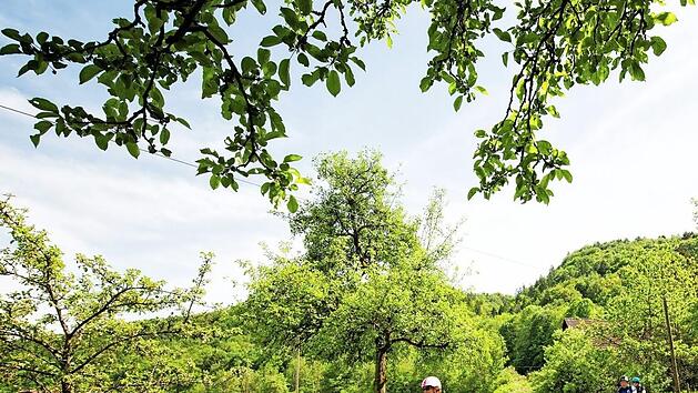 Landschaft, Spa&szlig; und Sport: Der Landkreis l&auml;dt unter anderem zu E-Biken ins Wiesenttal ein.  Foto: TZ Fr&auml;nkische Schweiz/Florian Trykowski