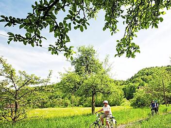 Landschaft, Spaß und Sport: Der Landkreis lädt unter anderem zu E-Biken ins Wiesenttal ein.  Foto: TZ Fränkische Schweiz/Florian Trykowski