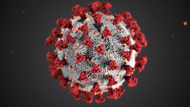 Bionformatiker aus T&uuml;bingen haben eine entscheidende Schwachstelle des Coronavirus entdeckt. Ein menschliches Enzym k&ouml;nnte entscheidend sein, um die Ausbreitung des Virus zu stoppen.