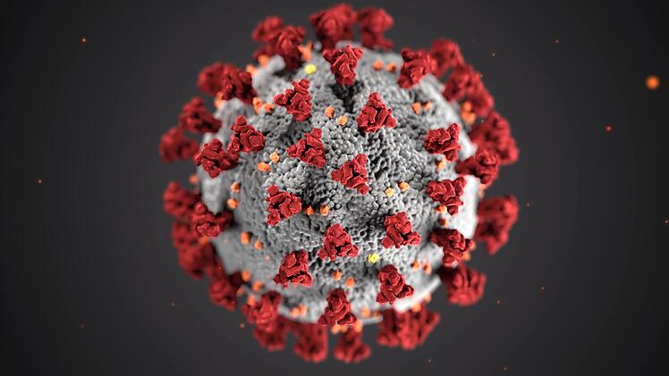 Bionformatiker aus Tübingen haben eine entscheidende Schwachstelle des Coronavirus entdeckt. Ein menschliches Enzym könnte entscheidend sein, um die Ausbreitung des Virus zu stoppen.