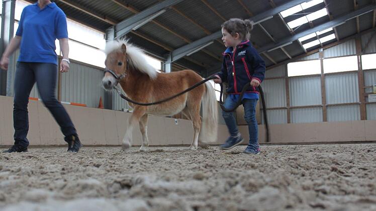 Ob Pony Elvis alles brav mitmacht? Foto: Anette Schreiber